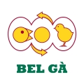 Gà Giống BEL GÀ