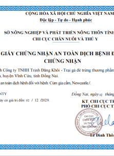 Giấy chứng nhận an toàn dịch bệnh động vật