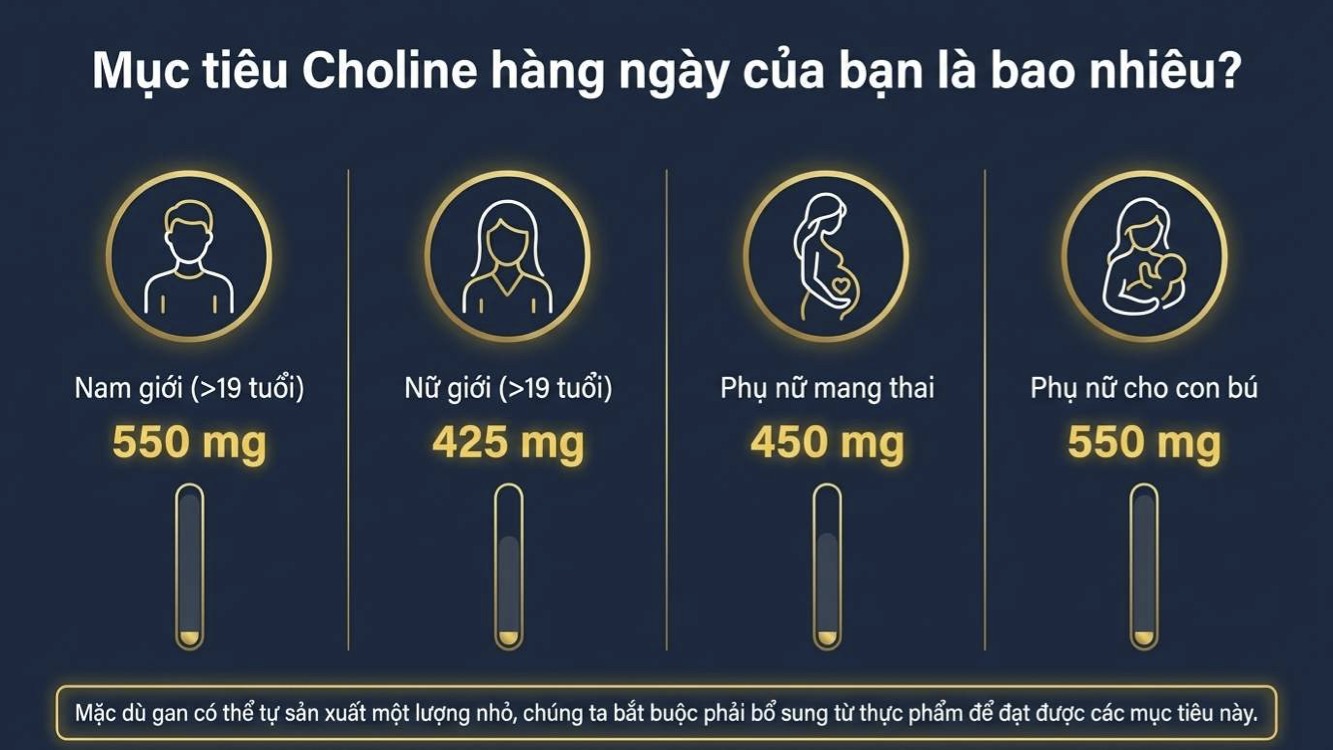 Choline trong trứng ở dạng phosphatidylcholine dễ hấp thu
