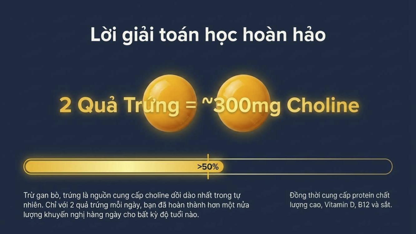 Choline hỗ trợ sức khỏe từ thai kỳ đến tuổi cao niên