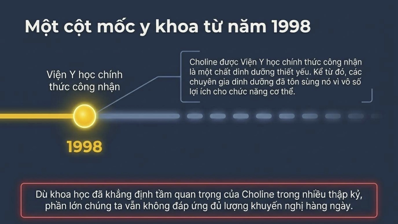 Choline là dưỡng chất thiết yếu thường bị bỏ quên trong quả trứng