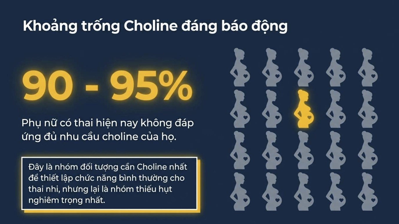Tình trạng thiếu hụt choline ở phụ nữ mang thai