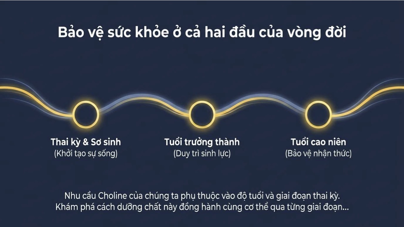 Choline hỗ trợ nền tảng trí não thai nhi và trẻ sơ sinh