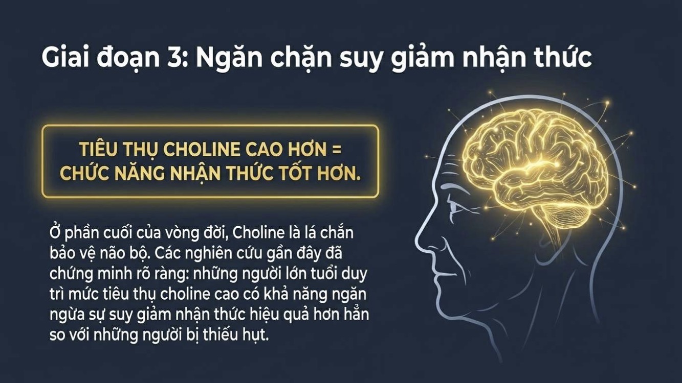 Hai quả trứng cung cấp khoảng 300mg choline mỗi ngày