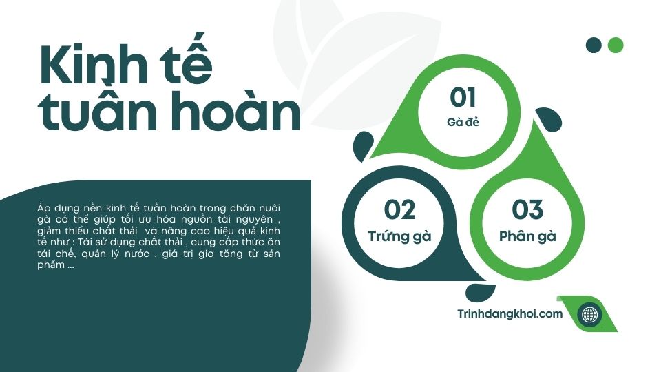 Mô hình kinh tế tuần hoàn