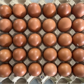 Trứng gà size 21
