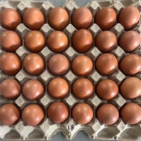 Trứng gà size 18