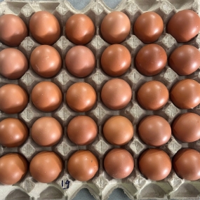 Trứng gà size 19