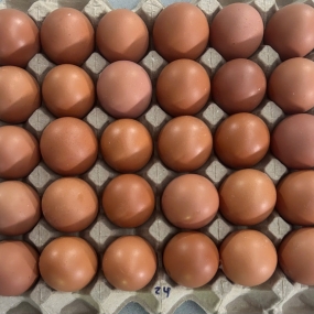 Trứng gà size 24